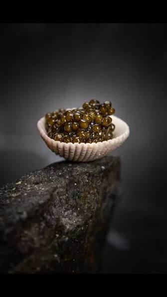 Vellor Caviar St. Maarten