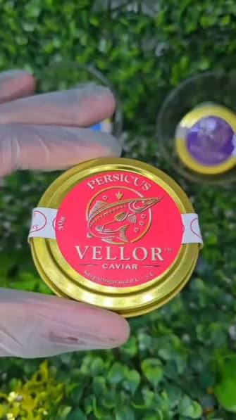 Vellor Caviar St. Maarten